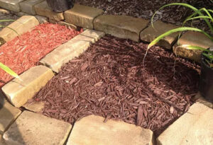 cocoa brown dyed mulch